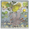 Sabina Savage oranges and lemons scarf with swan and fruits.