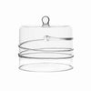 Hand blown glass petite cake dome with swirl.