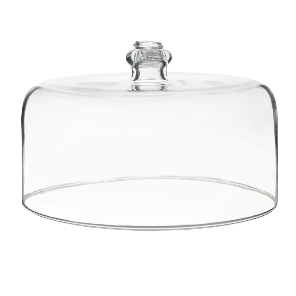 Glass cake dome with detail on handle on white background.