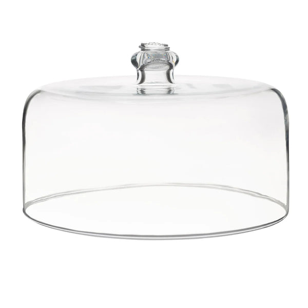 Glass cake dome with detail on handle on white background.